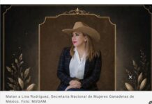 Lina Alejandra Rodríguez Castillo’s assassination has shaken the state of Chihuahua