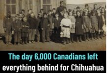 One Day, 6,000 Canadians gave up everything to become Mexican