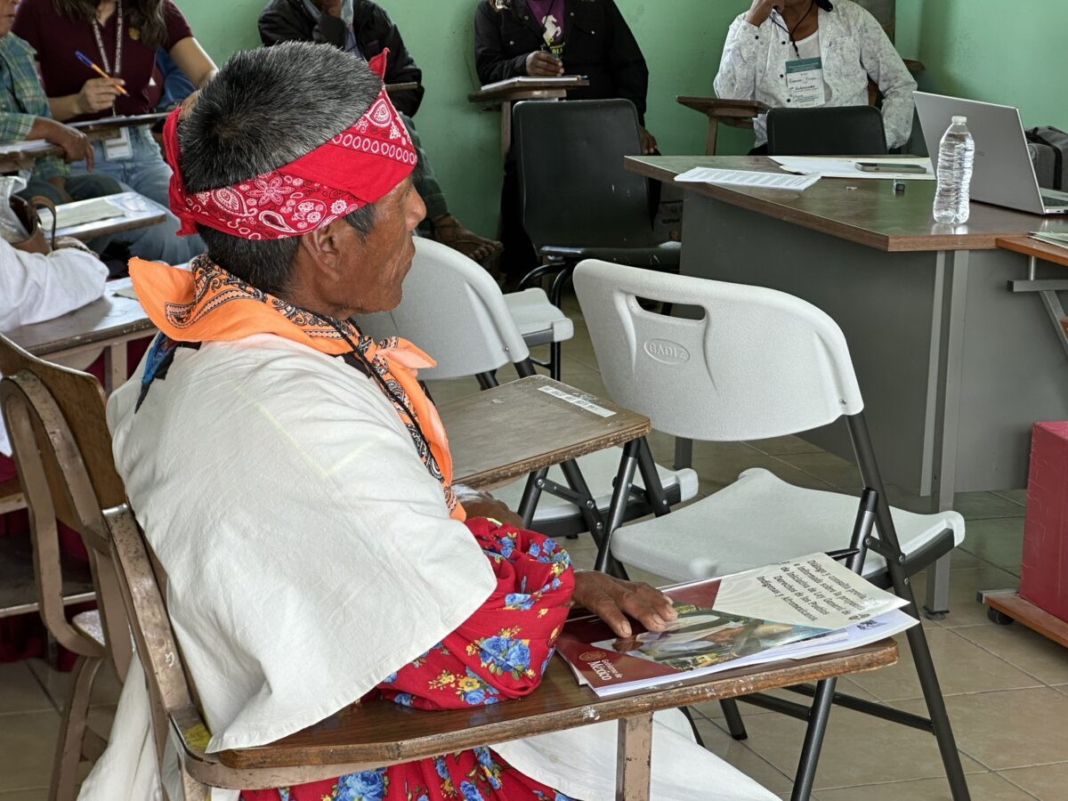 “We don’t understand many of the words”: Chihuahua communities question consultation on new Indigenous law.