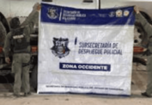 Alleged criminal leader killed in Chihuahua